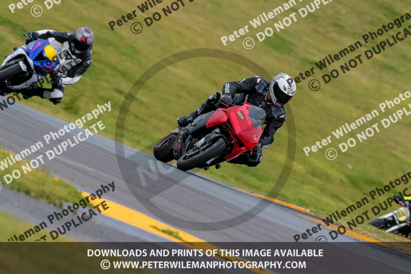 PJ Motorsport 2019;anglesey no limits trackday;anglesey photographs;anglesey trackday photographs;enduro digital images;event digital images;eventdigitalimages;no limits trackdays;peter wileman photography;racing digital images;trac mon;trackday digital images;trackday photos;ty croes